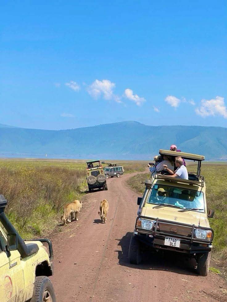 Kenya Safari Experience with HopesFredricks